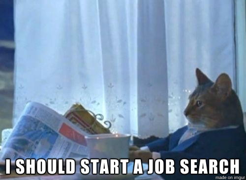 Cat thinking "I should start a job search"